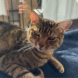 Meet your Posher, Sam